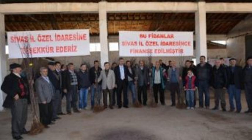 Suşehri&rsquo;nde Meyve Fidan Dağıtıldı