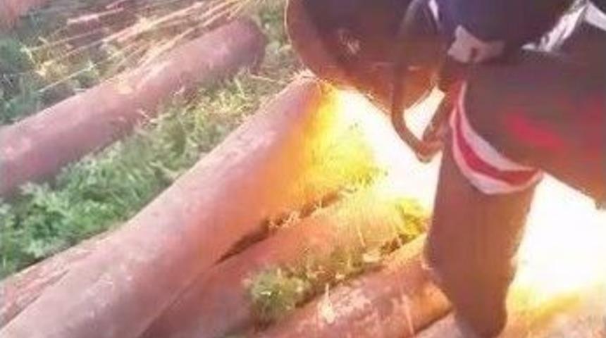 Boruya Sıkışan Tavşanı İtfaiye Ekipleri Kurtardı