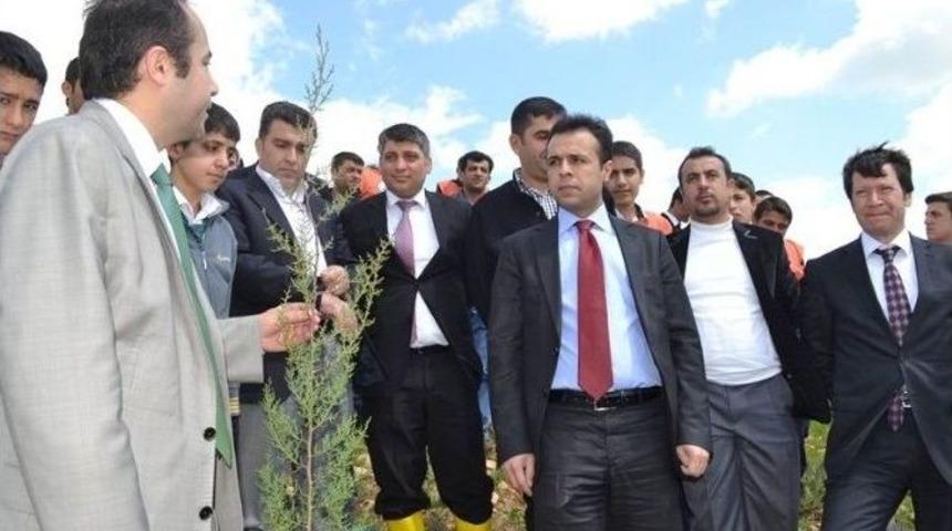 Şehit Savcı Kiraz&rsquo;ın İsmi Hatıra Ormanına Verildi