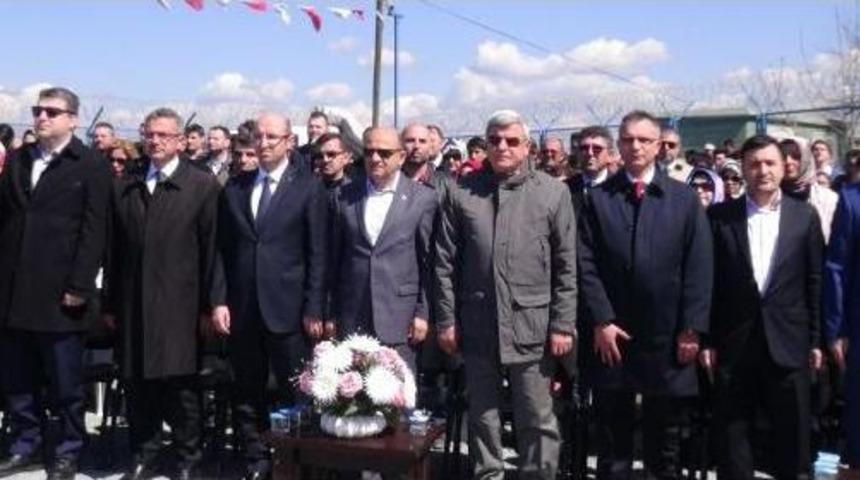 Bakan Işık T&uuml;bitak Arazisine Fidan Dikti