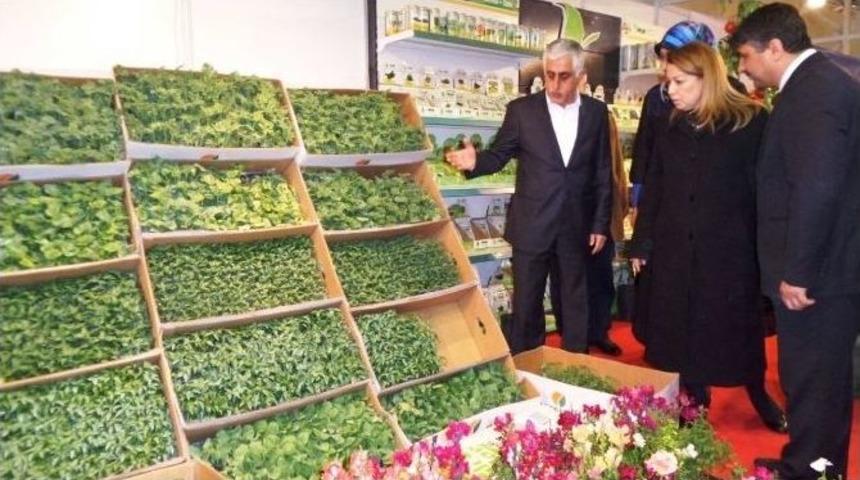Ak Partili &Ccedil;alık, Tarım Fuarını Gezdi