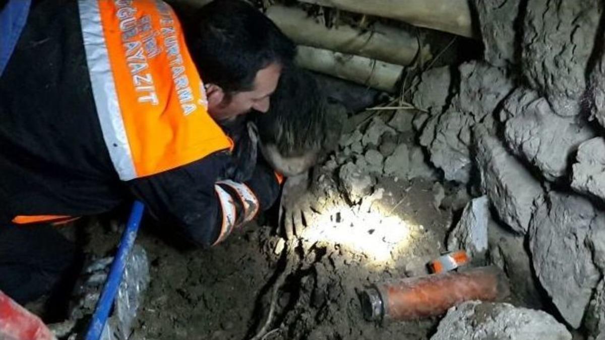 K&ouml;pek Yavruları İ&ccedil;in Az Kalsın Canından Oluyordu
