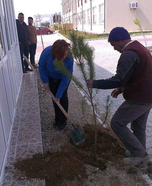 Aydınlılar ‘dünya Sağlık Günü’nü Köşk’te Kutlayacak