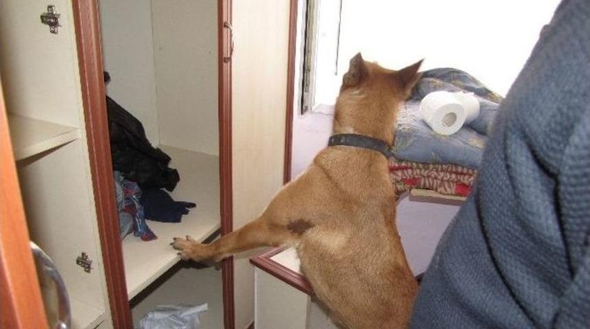 Eskişehir&rsquo;de Uyuşturucu Operasyonu