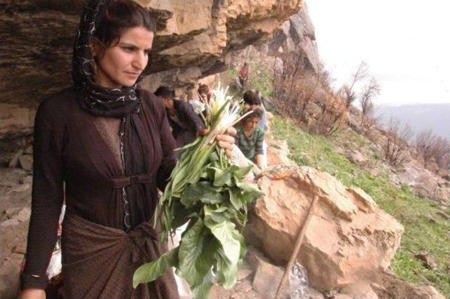 Yıllardır Çatışma Yaşanan Dağda Piknik Yaptılar