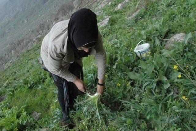 Yıllardır Çatışma Yaşanan Dağda Piknik Yaptılar