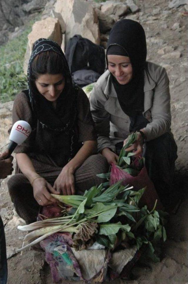 Yıllardır Çatışma Yaşanan Dağda Piknik Yaptılar