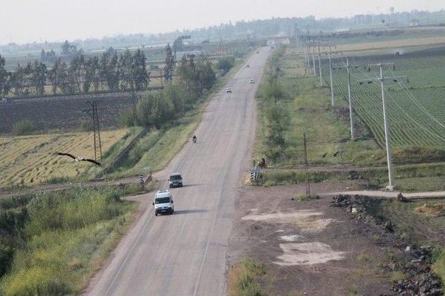 Duble Yol Çalışmasını Aksatan Leylekler İçin Özel Direk