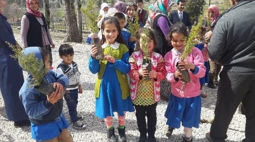 İbradılı &Ouml;ğrenciler Fidan Dikti