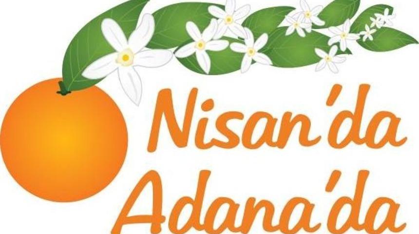 Portakal &Ccedil;i&ccedil;eği Karnavalı'nda 90 Bin Kişi Y&uuml;r&uuml;d&uuml;, 80 Bin Kişi Izledi (2)