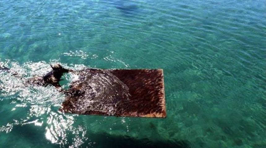 Sosyete Plajından Tonla Çöp Çıktı