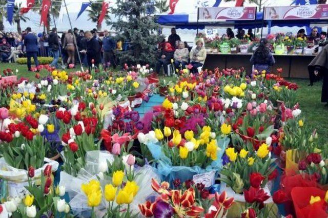 Kocaeli Lale Festivali'nde En Güzel Laleler Seçildi