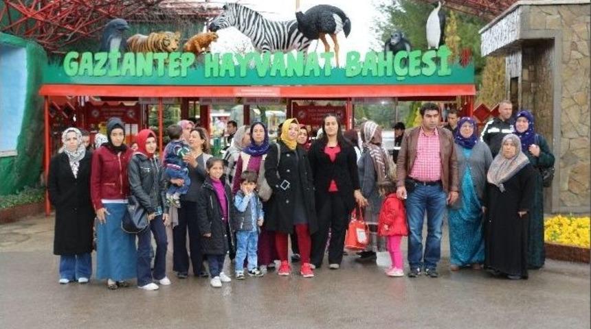 Hem Ziyaret Hem Ticaret