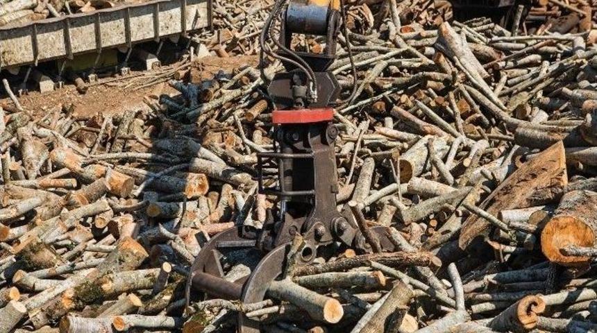 Ağa&ccedil; Kesmeden Orman &Uuml;r&uuml;nleri Hazırlıyorlar