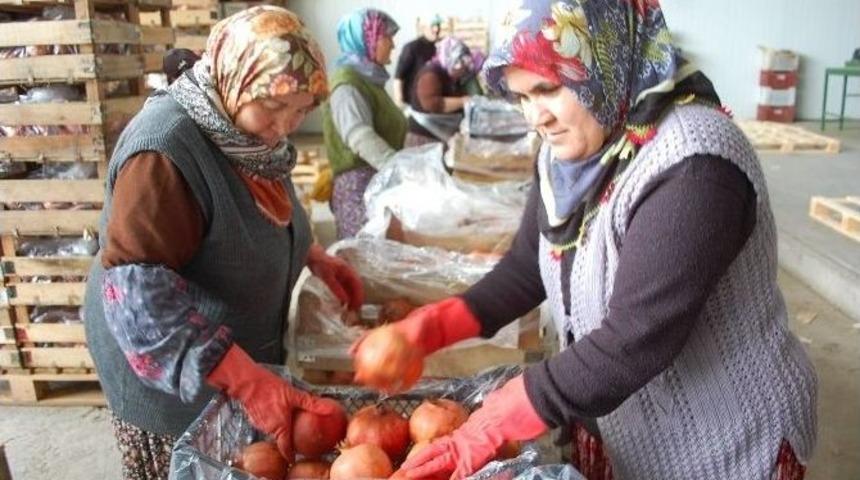 Silifke&rsquo;den Irak&rsquo;a Nar İhracatı