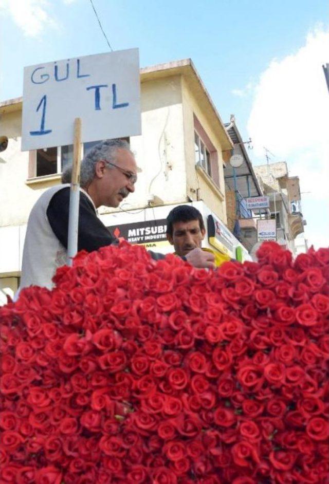 Kırmızı Güller Tezgaha Düştü