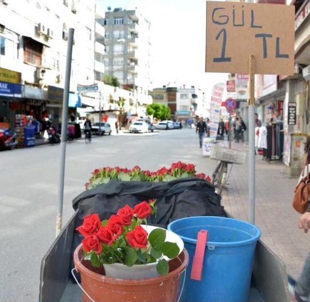 Kırmızı Güller Tezgaha Düştü