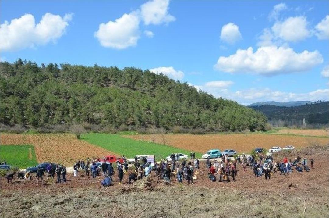 Ak Gen&ccedil;ler 301 Fidanı Toprakla Buluşturdu