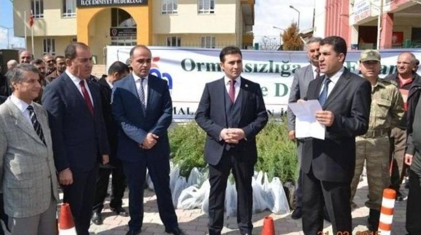 Orman İşletme Şefliği Tarafından Fidan Dağıtımı Yapıldı