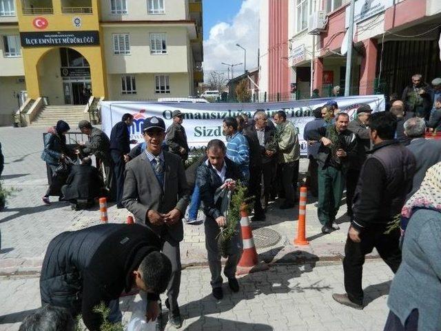 Orman İşletme Şefliği Tarafından Fidan Dağıtımı Yapıldı 1