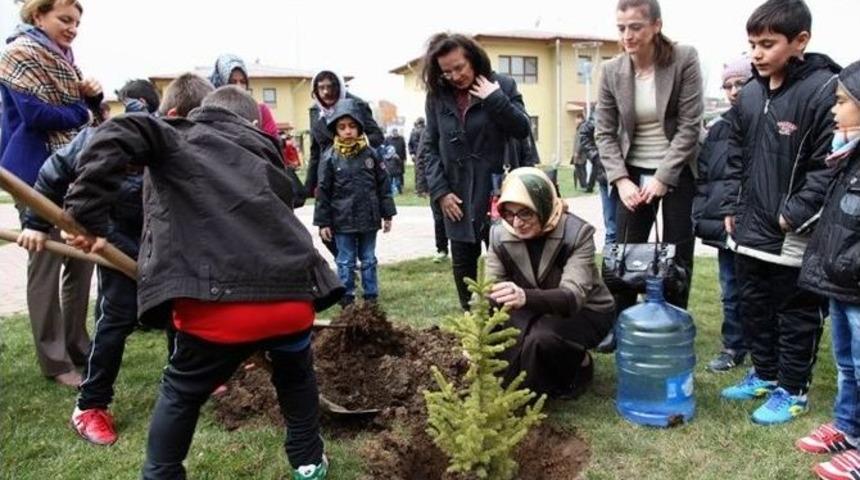 Sevgi Evlerinde Kalan &Ccedil;ocuklar Fidan Dikti