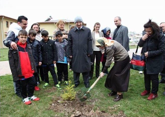 Sevgi Evlerinde Kalan Çocuklar Fidan Dikti