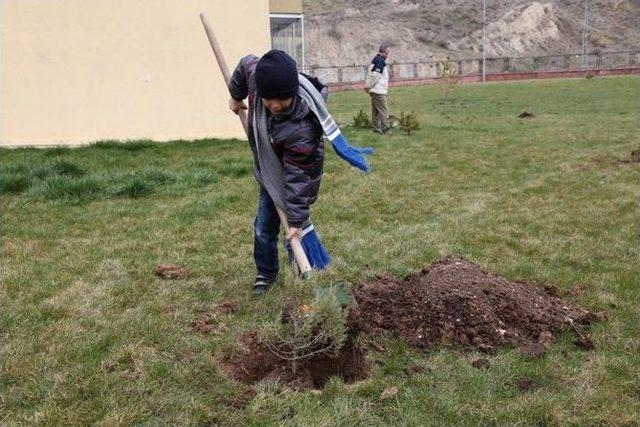 Sevgi Evlerinde Kalan Çocuklar Fidan Dikti