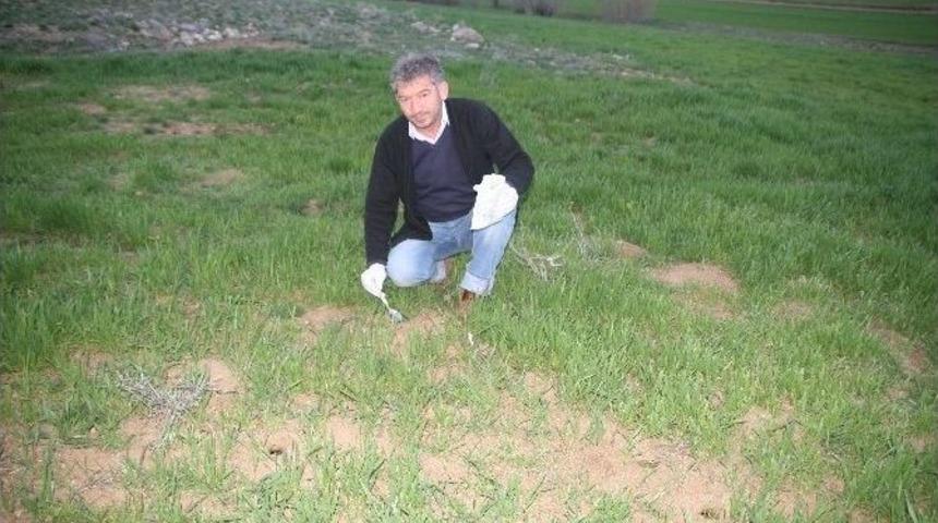 &Ccedil;ift&ccedil;ilere Tarla Faresi Uyarısı