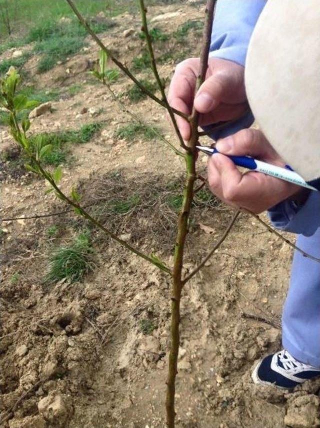 &Ccedil;ift&ccedil;ilere Organik Tarım Eğitimi 1