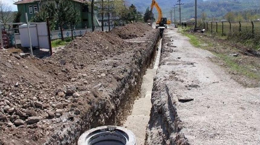 R&uuml;stem Keleş Kuzuluk İ&ccedil;in M&uuml;jde Verdi