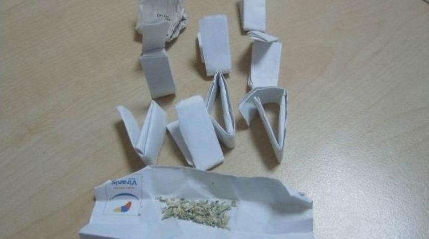 Bonzai Ticaretine Tutuklama