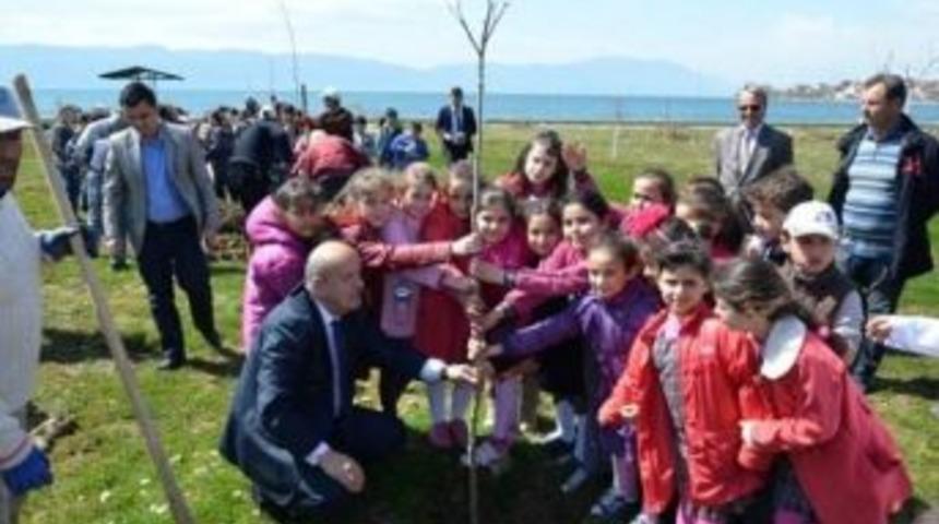 Minikler Fidan Dikti