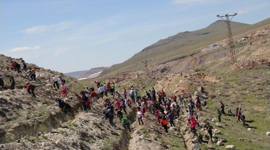 &Ouml;ğrenciler &Ccedil;anakkale Şehitleri İ&ccedil;in Fidan Dikti