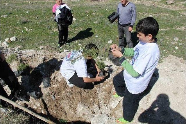 &Ouml;ğrenciler &Ccedil;anakkale Şehitleri İ&ccedil;in Fidan Dikti 1