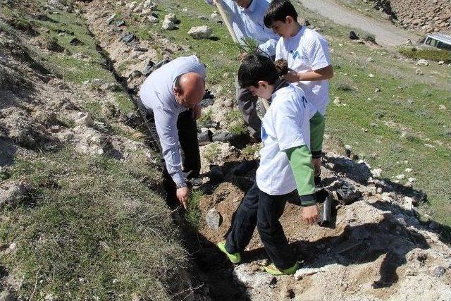 &Ouml;ğrenciler &Ccedil;anakkale Şehitleri İ&ccedil;in Fidan Dikti 2