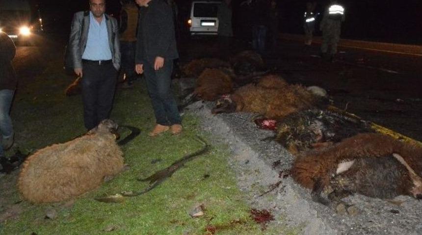 Siverek&rsquo;te Ara&ccedil; S&uuml;r&uuml;ye Daldı: 100 Koyun Telef Oldu