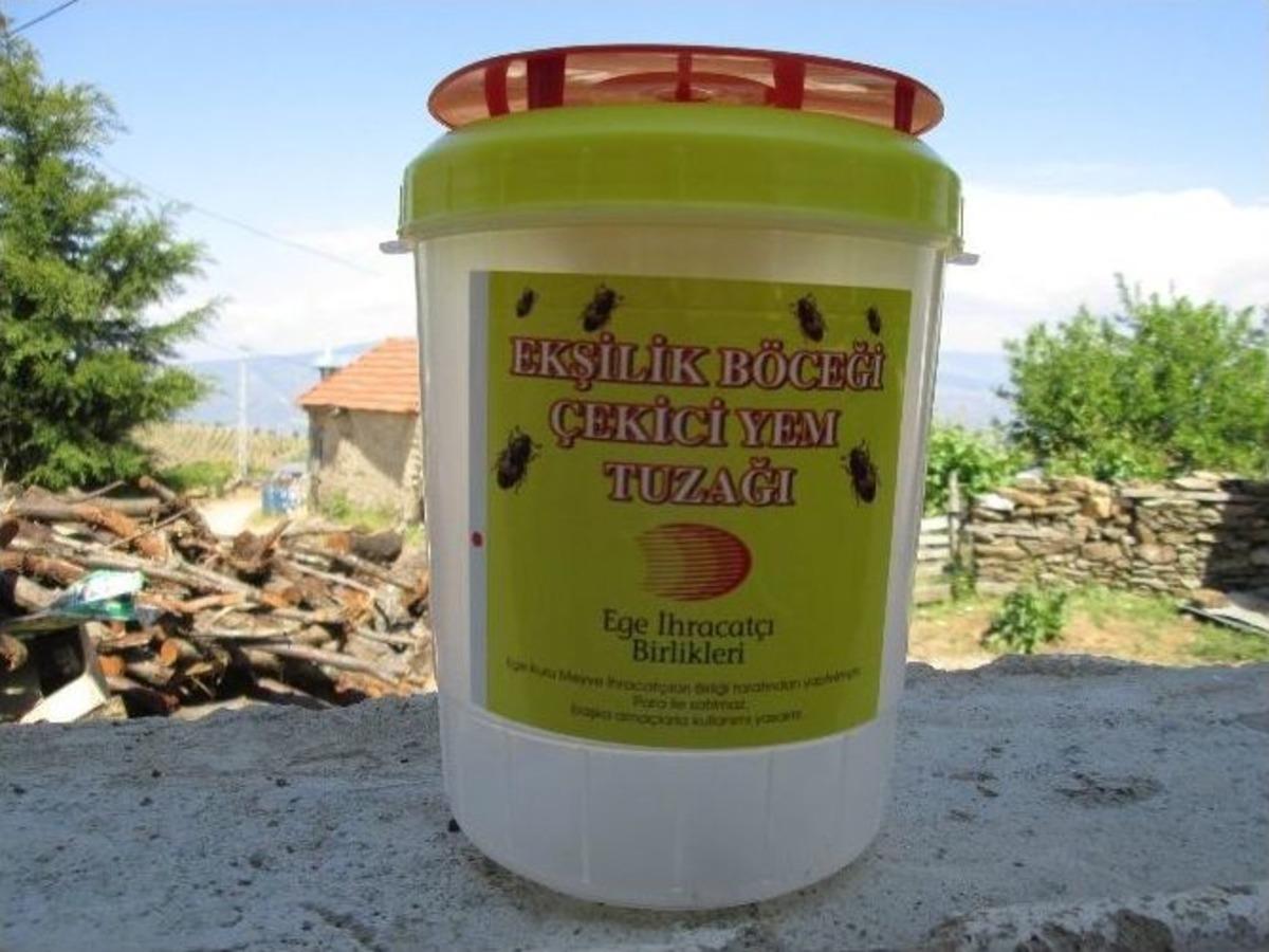 Aydın&rsquo;da İncirde Ekşilik B&ouml;ceği M&uuml;cadelesi Başladı