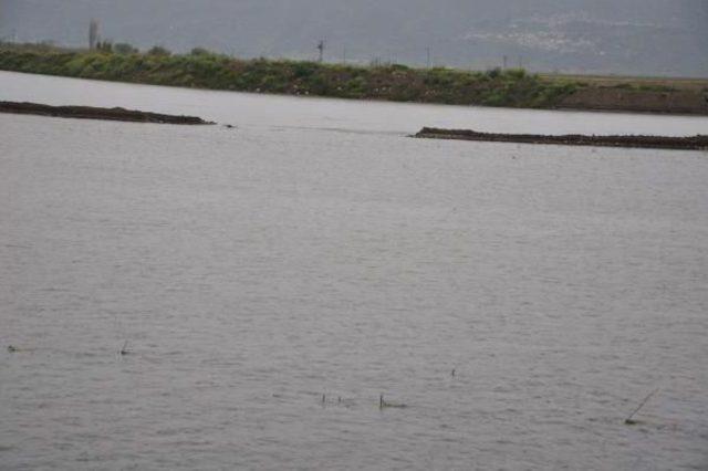 Menderes'teki Taşkın Sonrası Tarım Arazilerinde Inceleme