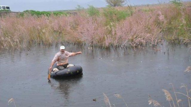 Menderes'teki Taşkın Sonrası Tarım Arazilerinde Inceleme (2)