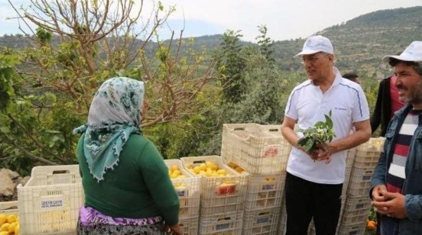 Başkan Tarhan, Limon Yetiştiricileriyle Bir Araya Geldi