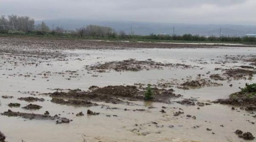 İneg&ouml;l&rsquo;De Ak&ccedil;asu Deresi Taştı, Patates Ve Ay&ccedil;i&ccedil;eği Ekili Alanlar Sular Altında Kaldı