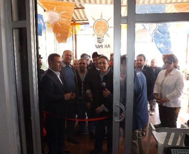 Ak Parti Bodrum İçin Kolları Sıvadı 1