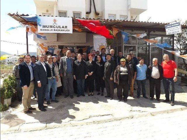 Ak Parti Bodrum İçin Kolları Sıvadı 2