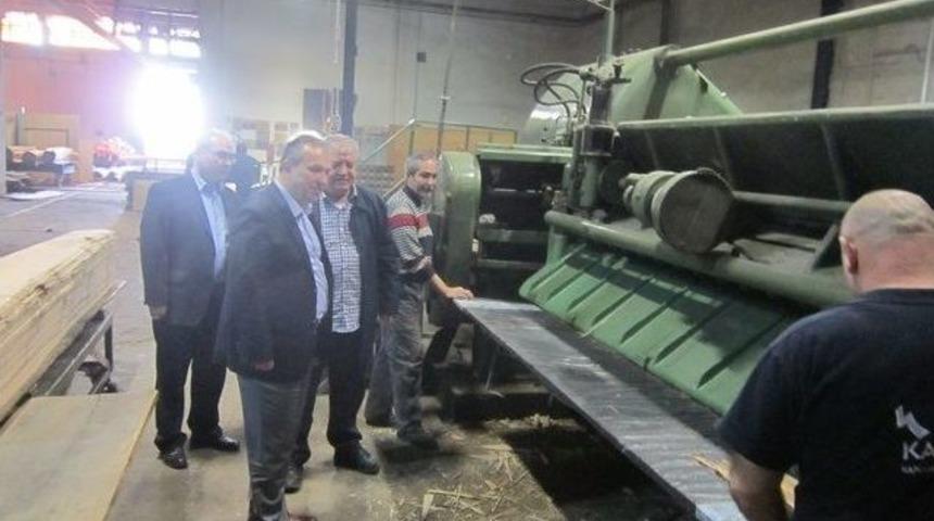 Vali Fidan Fabrikaları Gezdi