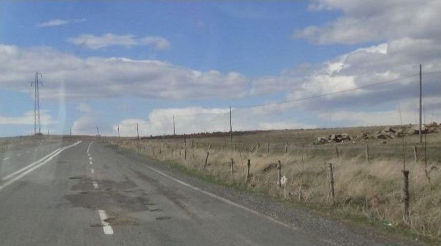 Ani Harabeleri&rsquo;nin Yolu K&ouml;stebek Yuvasına D&ouml;nd&uuml;