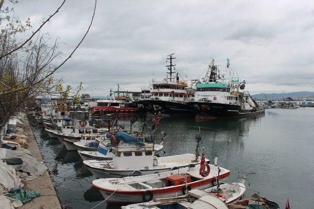 Marmara Denizi’nde Balık Çıkmayınca Sezon Erken Kapandı