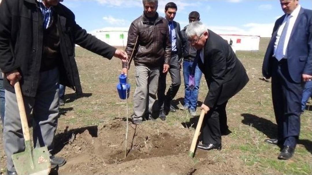 Kars&rsquo;ta 3 Bin Ceviz Fidanı Toprakla Buluştu