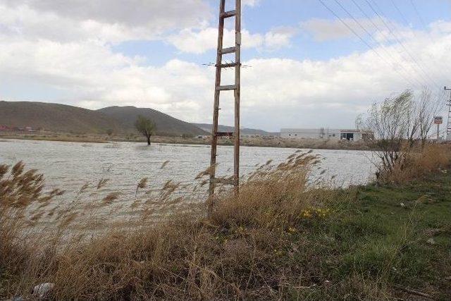 Kayseri’de Sultan Sazlığı’na Rakip Çıktı 1