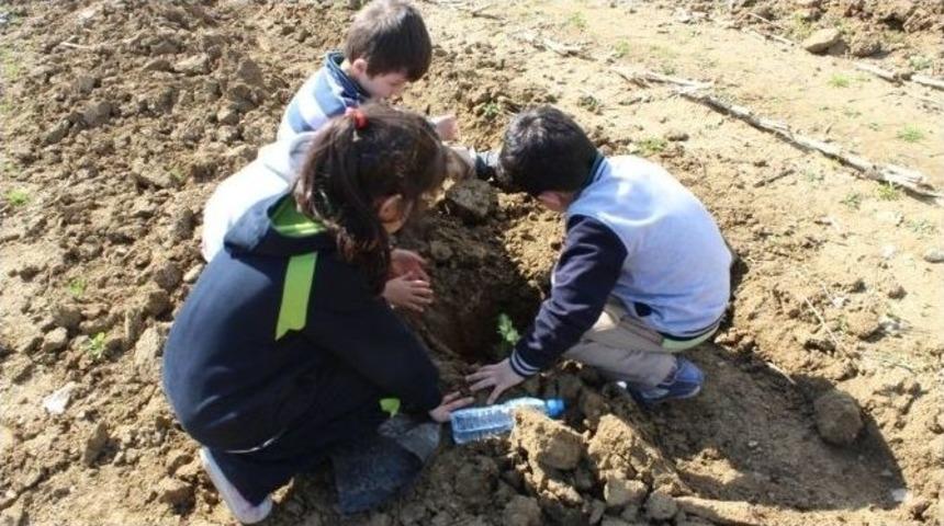 Safvet Koleji &Ouml;ğrencileri Fidan Dikti
