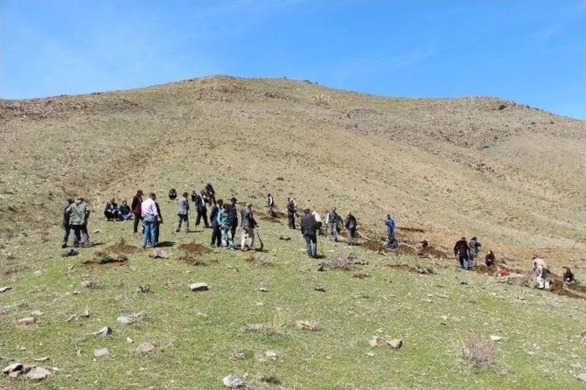 &Ccedil;atak&rsquo;ta Fidan Dikimi